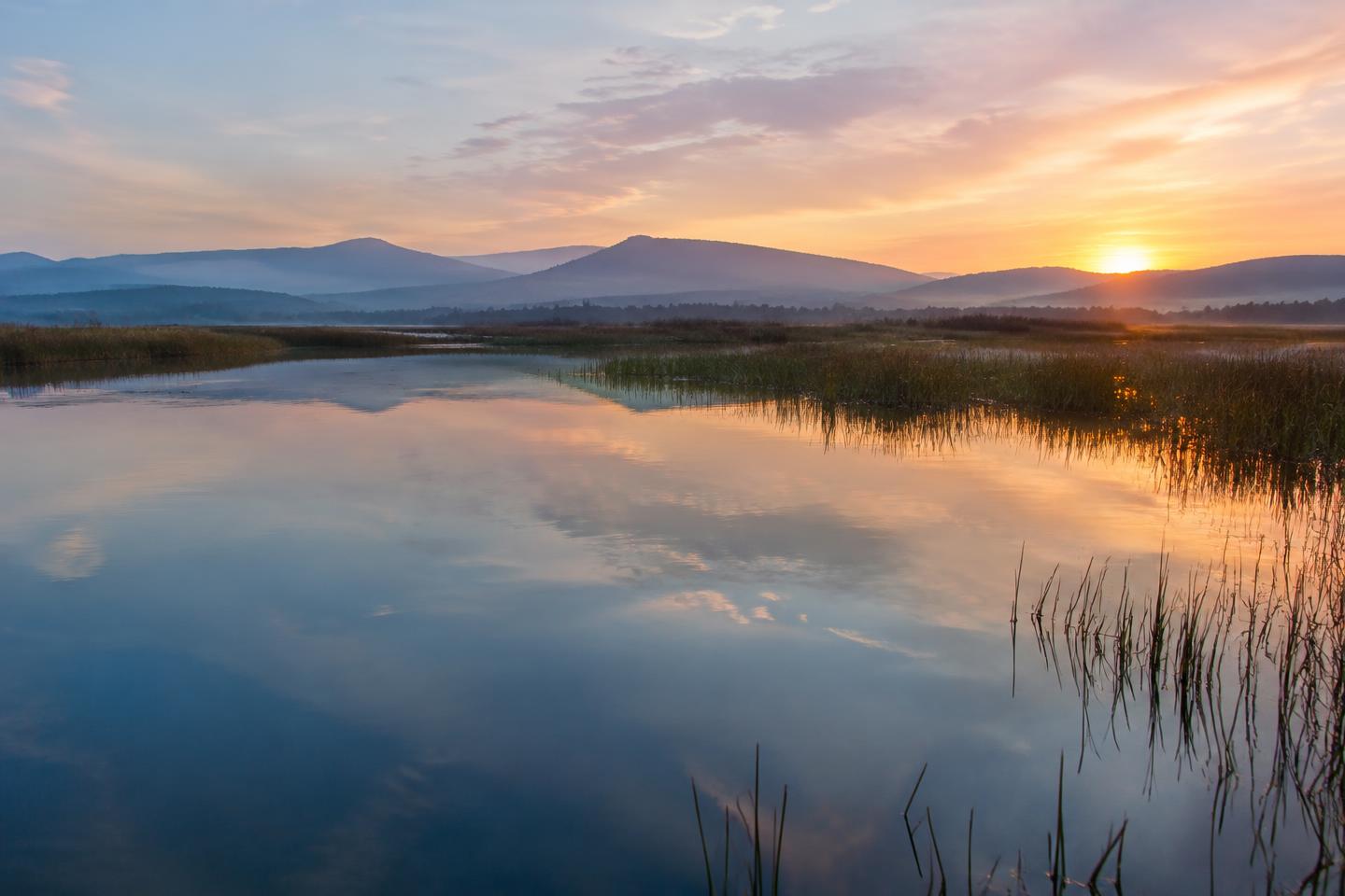 Still water reflecting a soft Northern California dawn.