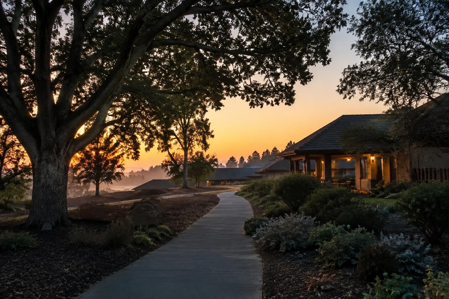 A quiet community walkway beneath oak trees at sunrise.