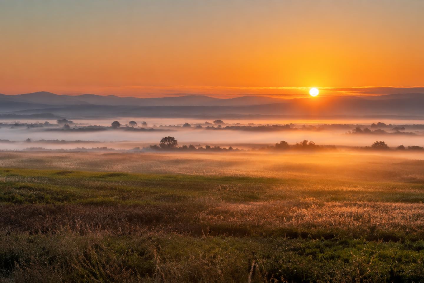 First sunlight crossing an open Sacramento Valley field after fog.